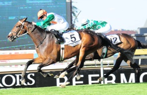 Surprise! Royal Zulu Warrior (Karl Zechner) gallops on powerfully to win the Charity Mile (JC Photos)