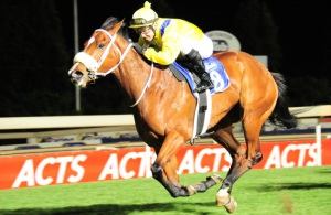 Speed Queen. Tiger Quest under Francois Herholdt to win the Gardenia Handicap (JC Photos)