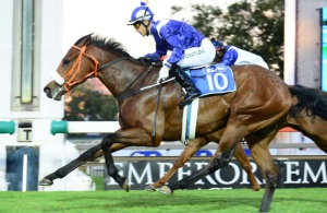 Good win. Whistle Stop (Anthony Delpech) catches Willow Magic in the last few strides to win well. (JC Photos)