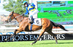 Winter Star wins RTR Cup