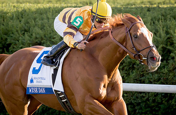 Wise Dan