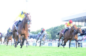 Yorker won the 2013 Sansui Summer Cup