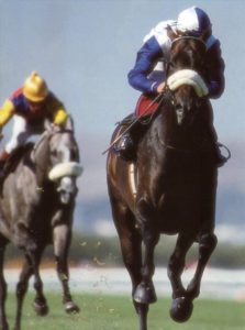 1991 Autumn Stakes - FLAMING ROCK - finish