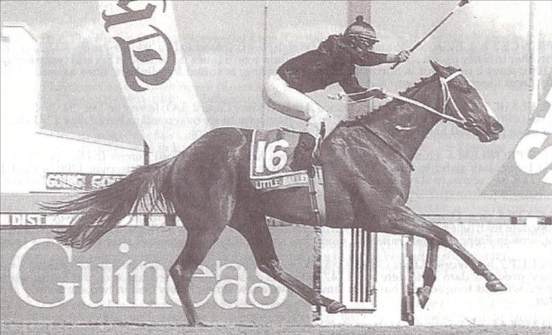 1993 Gr1 Cape Guineas - LITTLE BALLERINA - finish