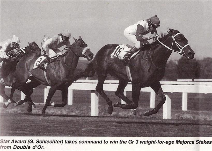 1993 Gr3 Majorca Stakes - STAR AWARD - finish