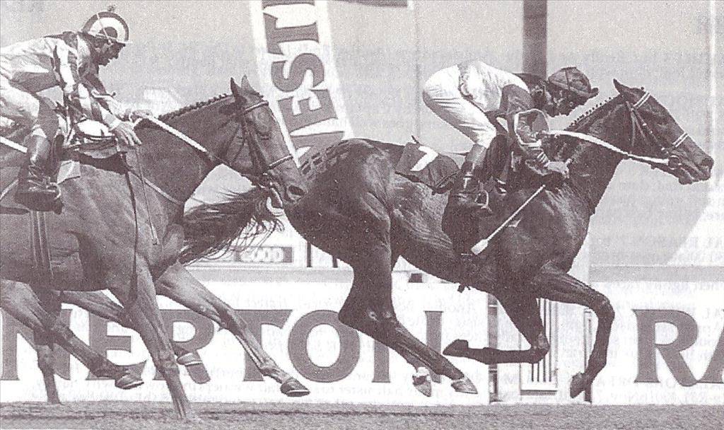 1994 Gr3 Peninsula Handicap - RAVENOUS - finish