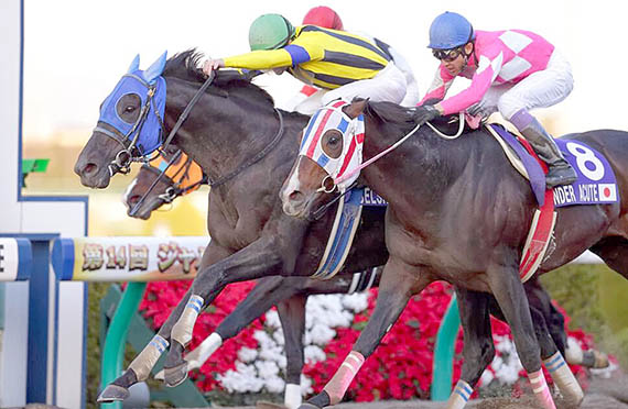 Belshazzar