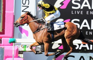 Salute! An elated Robbie Fradd shows his joy as Close The Gap wins the Gr3 Fillies Mile (JC Photos)