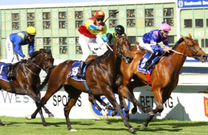 Gold Class! An ecstatic Bernard Fayd'herbe salutes as Elusive Gold wins the Guineas (Equine Edge)