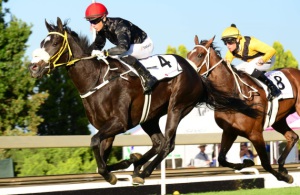 Very Smart. Espumanti and Anthony Delpech cruise clear to win the Ipi Tombe Challenge (JC Photos) 