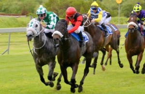 Objectionable! Insearchofthesun (inside) and Blackmalkin fight for supremacy in the Glendore Sprint (Coastal Photos)