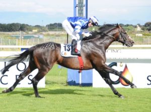 Masterful. Sean Cormack poses as Master Of My Fate cruises home to win the Gr2 Premier Trophy (Equine Edge)