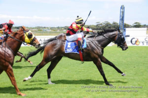 Blazing Saddles. Ndzongo drives Kopi Luwak to his maiden win (Equine Edge)