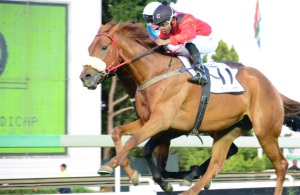 Sky Rise wins the 2013 RA Handicap