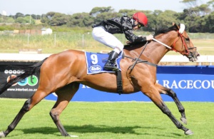 Blossoming! Welwitschia strides out to win the Diadem under Kevin Shea (Equine Edge)