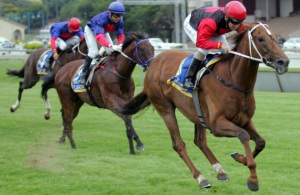 Decisive Win. Astro News (Anton Marcus) comes clear to beat Gold Onyx in the Michael Roberts Handicap