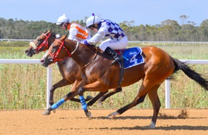 Dead Heat! Arrow Heart gets up on the outside to force a share of the spoils with Winter Fantasy (Coastal Photos)