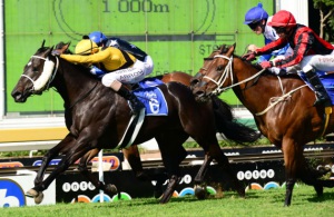 Top Ride. Gavin Lerena drives Jade Bay out to win the Lebelo Sprint. She's A Stunner (second) is on the outside (JC Photos)