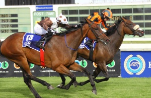 Close Call. Omaticaya (down the inside) gets the better of Princess Of The Sky to win the Jamaica Handicap (Equine Edge)