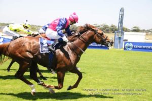 Aldo Domeyer keeps Muscatt at it to win the second race at Kenilworth (Equine Edge)