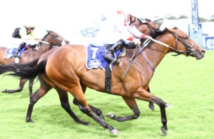 Images Of Glory. Glen Hatt drives Reflective Image up to beat Jet Belle in a thriller. (Equine Edge)