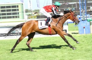 Sizzling Hot. Beach Beauty (Sean Cormack) strides clear to win the Gr1 Paddock Stakes (Equine Edge)