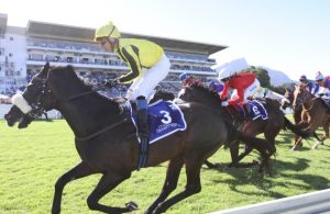 Another Angle. Capetown Noir leaves his opposition for dead (Equine Edge)