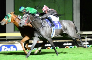 That's Our Babe! Virgo's Babe gets the better of the grey Samba Serenade down the outside. (JC Photos)