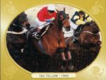 1994 Cheltenham Gold Cup - THE FELLOW