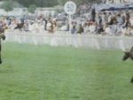 1994 Fillies Bloodline Million Juvenile Sprint - JAMAICAN JUSTICE - fini...