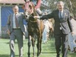 1994 Gr1 Administrators - SIZZLING SUN - lead in