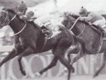 1994 Gr1 Bloodline SA Fillies Guineas - STAR AWARD - finish3