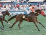 1994 Gr1 Computaform SA Derby - THE MONK - finish