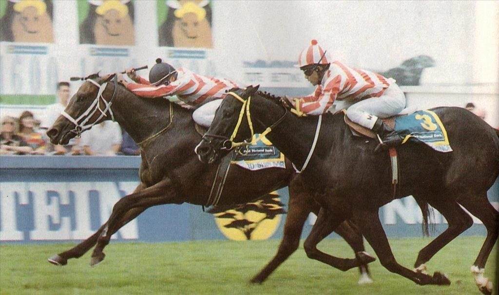 1994 Gr1 First National - LORD SHIRLDOR - finish2