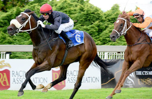 Athina winning the Gr3 Three Troikas Stakes in Turffontein 8 February 2014