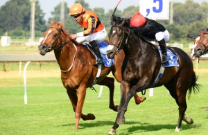 On Top! Bouclette Top (S'manga Khumalo) powers home to beat the game Mr Mulliner (JC Photos)