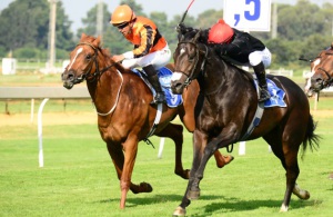 Bouclette Top - good run in Drill Hall