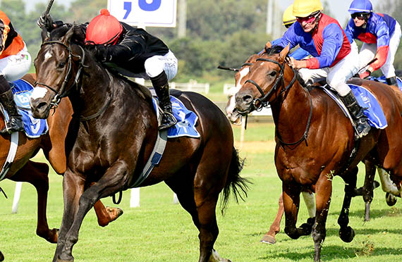 Bouclette Top winning Gr3 Tony Ruffek Stakes in Turffontein, 8 February 2014