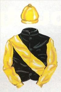 Mauritzfontein Stud Silks