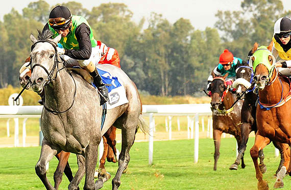 Orator's Daughter wins in Vaal 7 March 2013