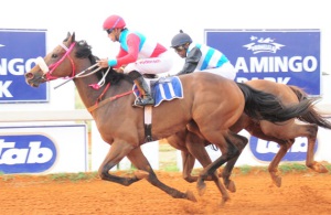 Valiant Effort. Sky Marshal wins the Kimberley 1400 shortly before tragedy strikes (JC Photos)