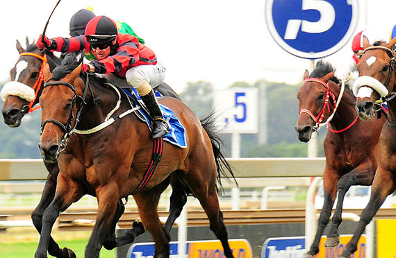 Seal wins the Listed Aquanaut in Turffontein 2 March 2013