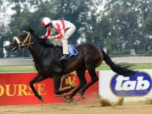 Tiger Eyes! Tiger Territory wins the Lighning Stakes (JC Photos)