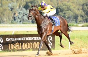 Super On Sand. Tommy Gun charges clear to the Autumn Sand Sprint (JC Photos)