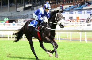 Blues Cruise! Banaadeer makes it look so easy as he wins Storm Bird Stakes  in style (JC Photos)