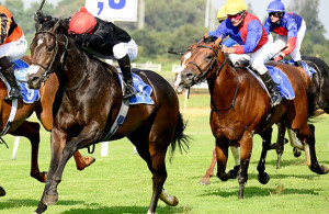 Bouclette Top wins the Gr3 Tony Ruffel Stakes at Turffontein 2014-02-08
