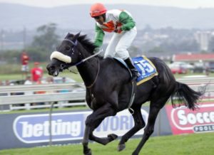 An elated Brandon May guides Cool Anne to register his first winner