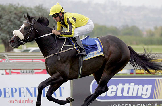 Capetown Noir wins at Scottsville 13-04-13