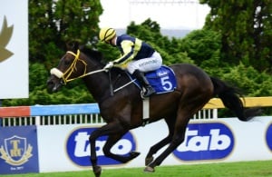 Where Are They? Anthony Delpech looks for opposition as Captain Lars wins the Listed Drum Star Handicap (JC Photos)