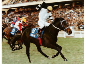 Flashback to Classic Flag winning the 1998 Rothman's July under Anthony Delpech